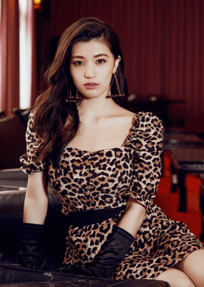 高桥圣子(高崎圣子)图片